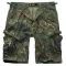  br-bdu-short-flecktarn