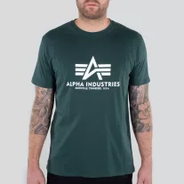 basic-t-navy-green.jpg