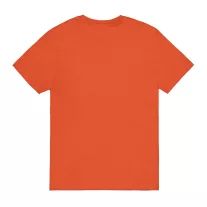 Basic T - iron red