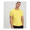 organics-emb-t-organic-yellow