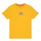 Basic T ML - wheat