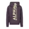 back-print-zip-hoody-plum.png