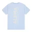 128507-03_backprint-t-artic blue