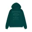 air-force-hoody-force-green-alpha.png