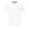 holographic-sl-t-white.png
