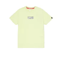 metal-plate-t-arctic lime