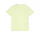 metal-plate-t-arctic lime