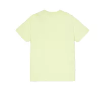 metal-plate-t-arctic lime