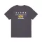 puff-print-logo-bp-t-vintage grey