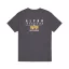 puff-print-logo-bp-t-vintage grey