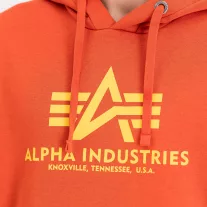 Basic Hoody - iron red