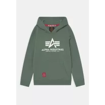 basic-hoody-ivy-green.jpg