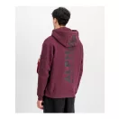 back-print-hoodie-dark-cherry back-print-hoodie-dark-cherry