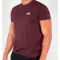 basic-t-small-logo-deep-maroon.png