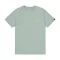 basic-ti-small-logo-frost green
