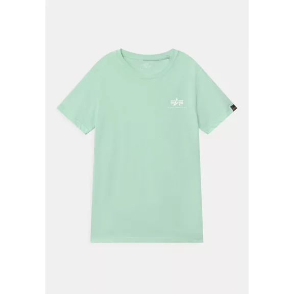 basic-t-small-logo-mint.jpg basic-t-small-logo-mint.jpg