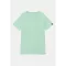basic-t-small-logo-mint.jpg