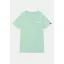 basic-t-small-logo-mint.jpg
