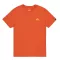 Basic T Small Logo - powder brown