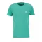 basic-t-small-logo-atomic-green.png