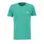 basic-t-small-logo-atomic-green.png