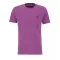 basic-t-small-logo-dark-magenta.png