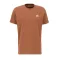 basic-t-small-logo-hazel-brown.png