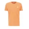 basic-t-small-logo-tangerine.png