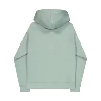 basic-hoody-small-logo-frostgreen