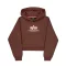Basic Big Logo Puff Print Hoodie Women - powder brown