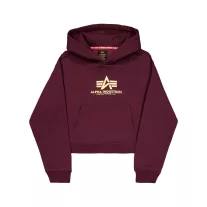 basic-big-logo-puff-print-hoodie-women-dark-cherry