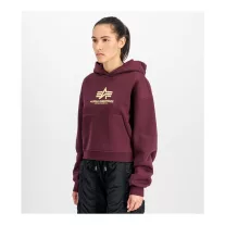 basic-big-logo-puff-print-hoodie-women-dark-cherry