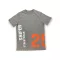 sw-25-t-grey.jpg
