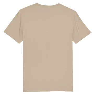 Pilot T - desert
