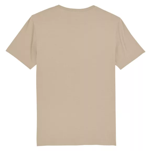 Pilot T - desert